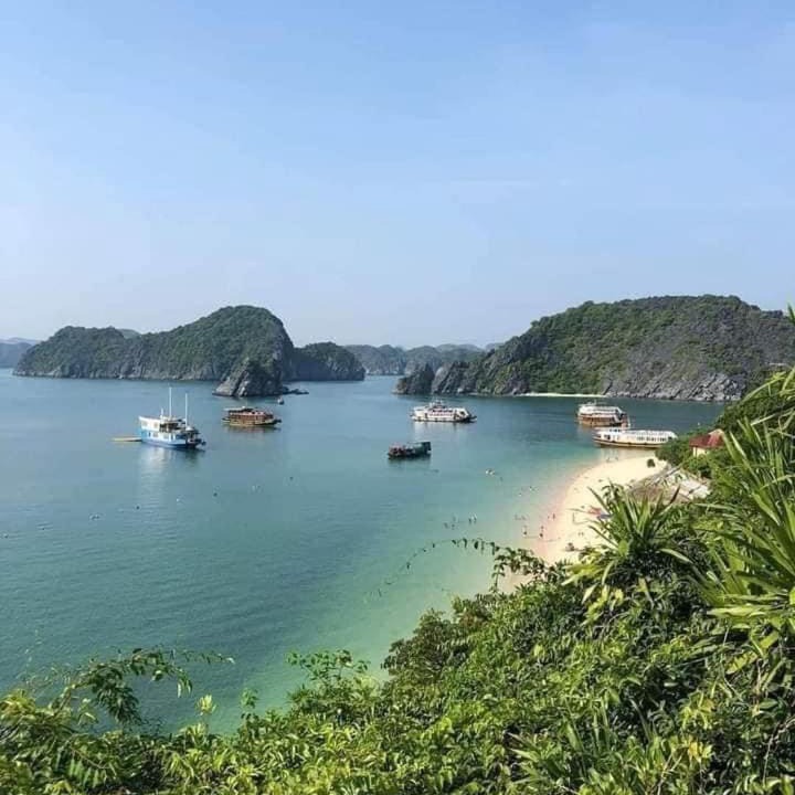 Photo of Others in Cat Ba