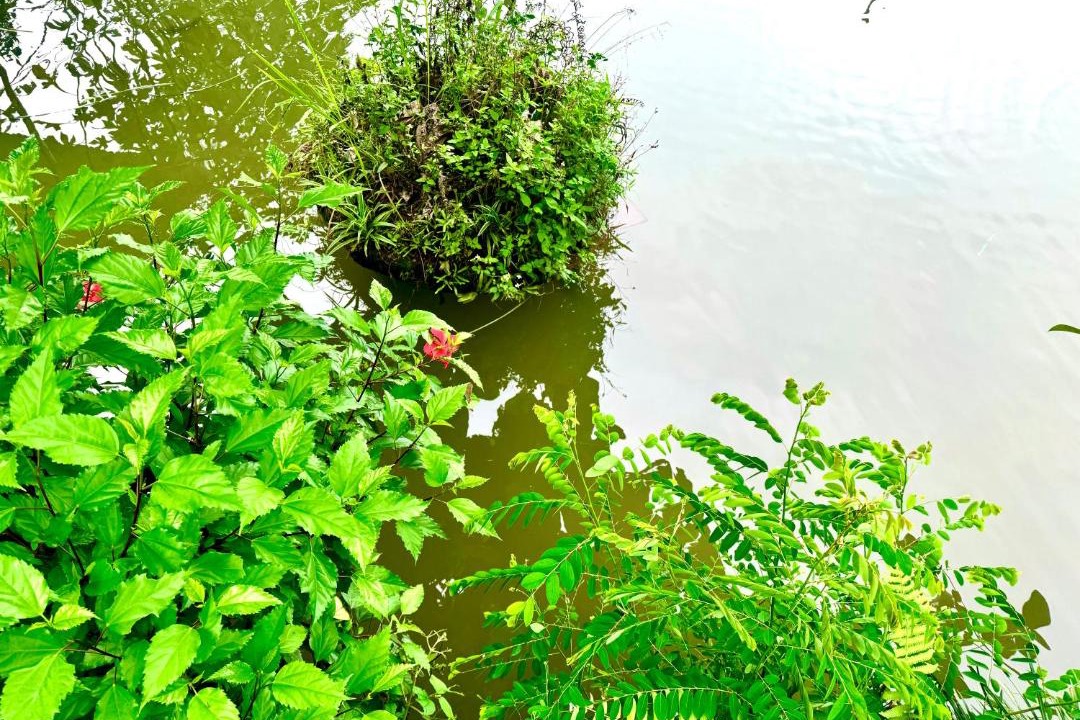 Photo of Others in Ha Giang