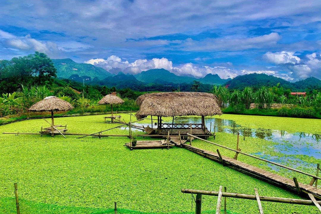 Photo of Others in Ha Giang