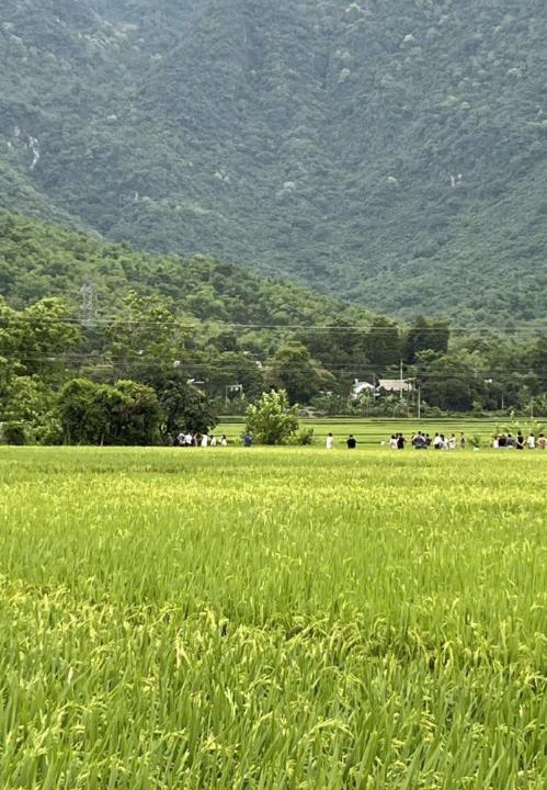 Photo of Others in Mai Chau