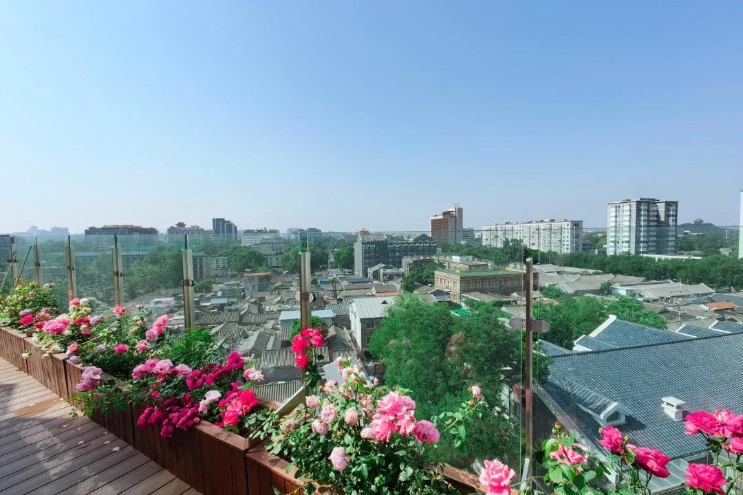 Photo of Others in Dongcheng