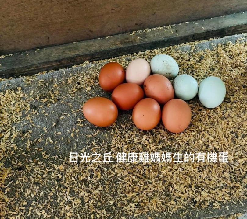 Photo of Others in Yuanshan