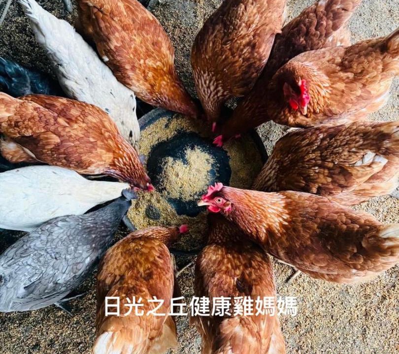 Photo of Others in Yuanshan