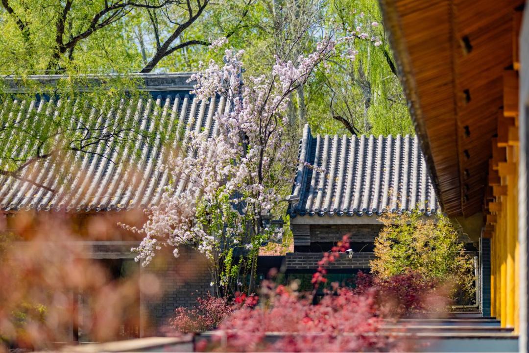 Photo of Others in Changping