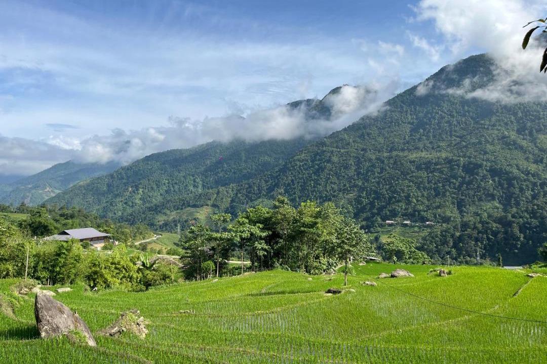 Photo of Others in Sa Pa