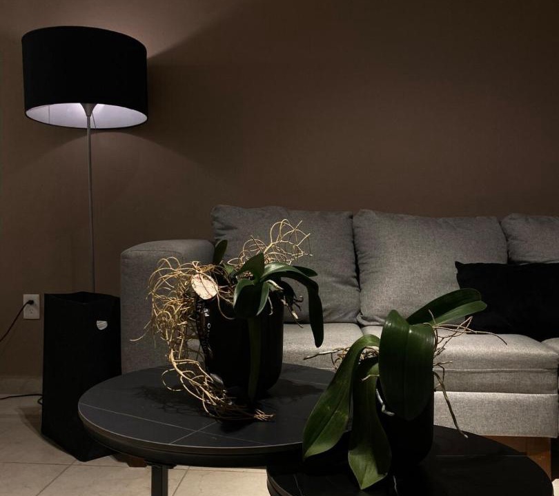 Photo of Livingroom in Veracruz