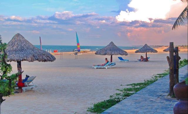 Photo of Others in Bao Ninh