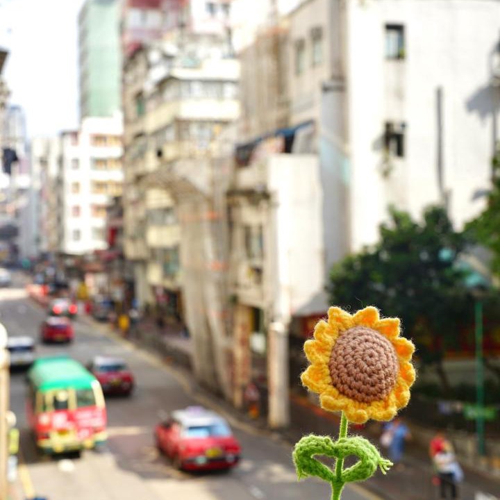 Photo of Others in Yau Tsim Mong