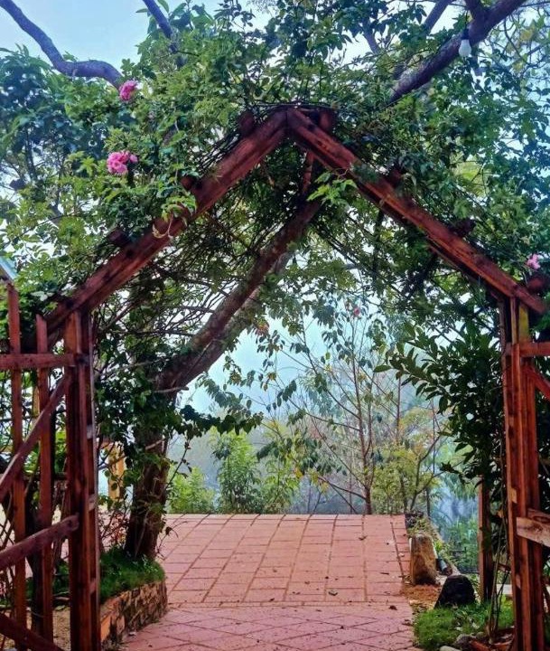Photo of Others in Da Lat