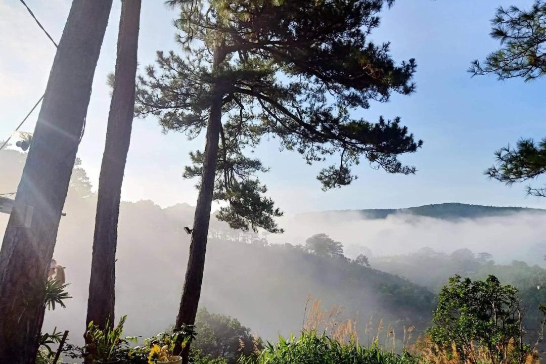 Photo of Others in Da Lat