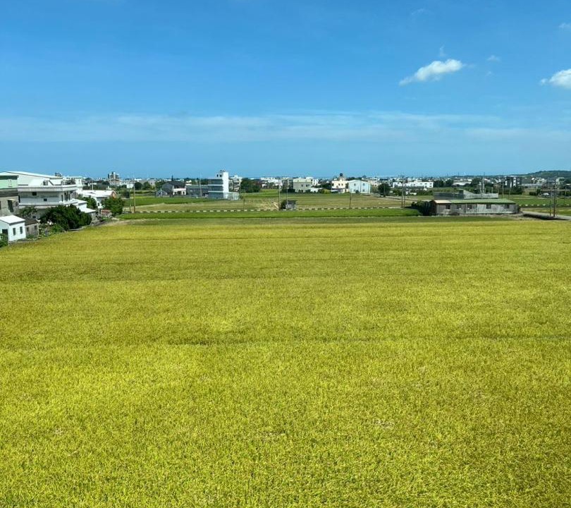 Photo of Others in Yuanli