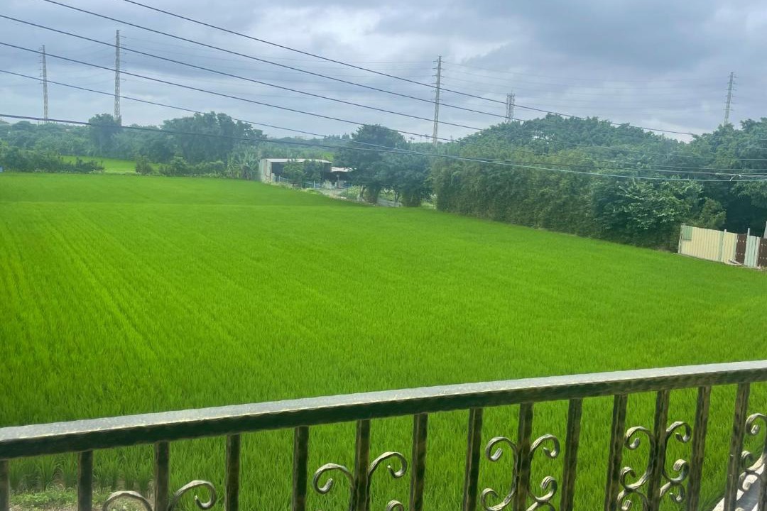 Photo of Others in Xinwu District