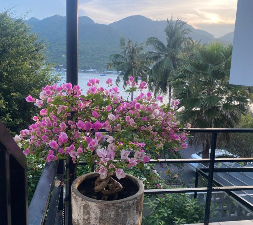 Photo of Others in Nha Trang