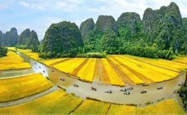 Photo of Others in Hoa Lu