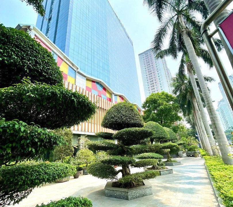 Photo of Others in Ha Dong