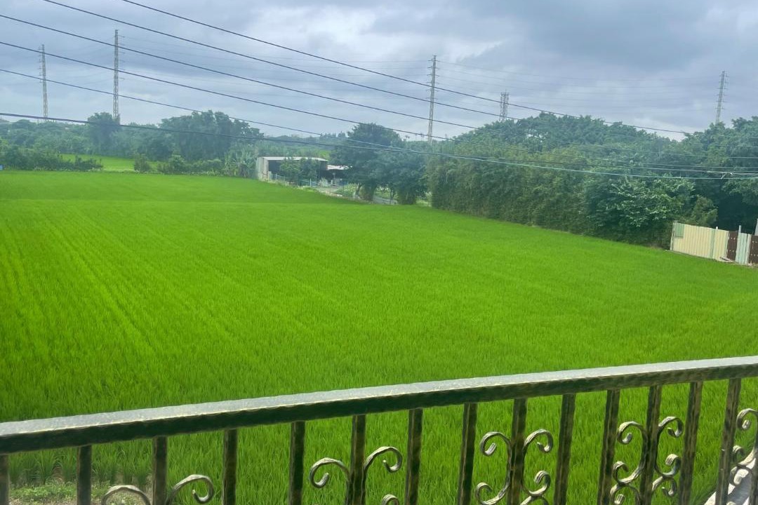 Photo of Others in Xinwu District