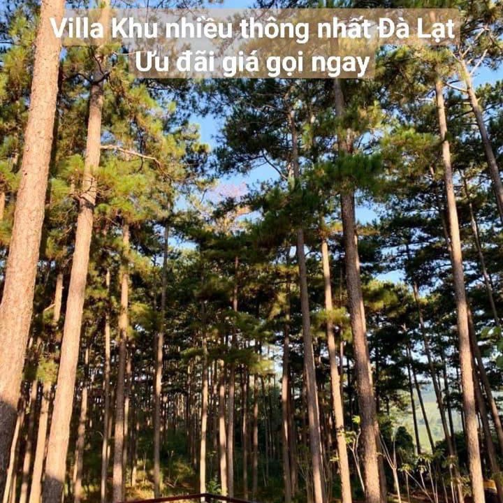 Photo of Outdoor in Da Lat