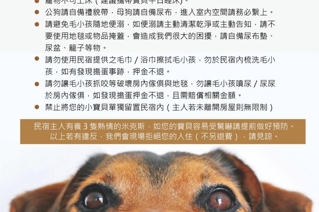 Photo of Human In Picture in Yuchi