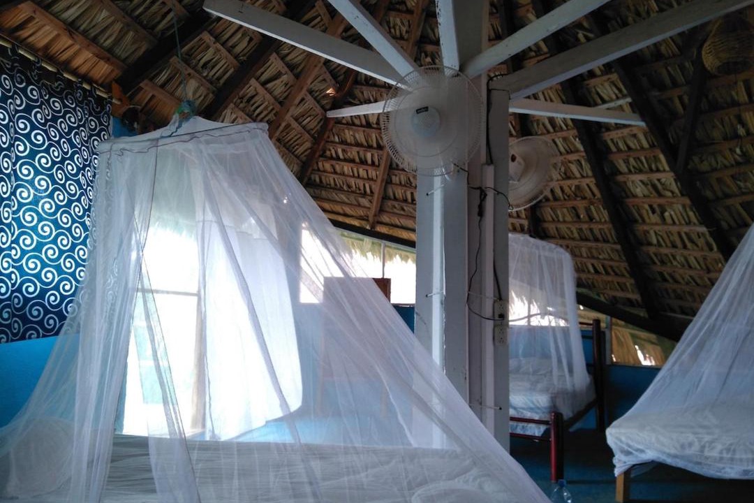 Photo of Bedroom in Mazunte