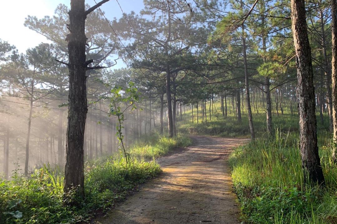 Photo of Others in Da Lat