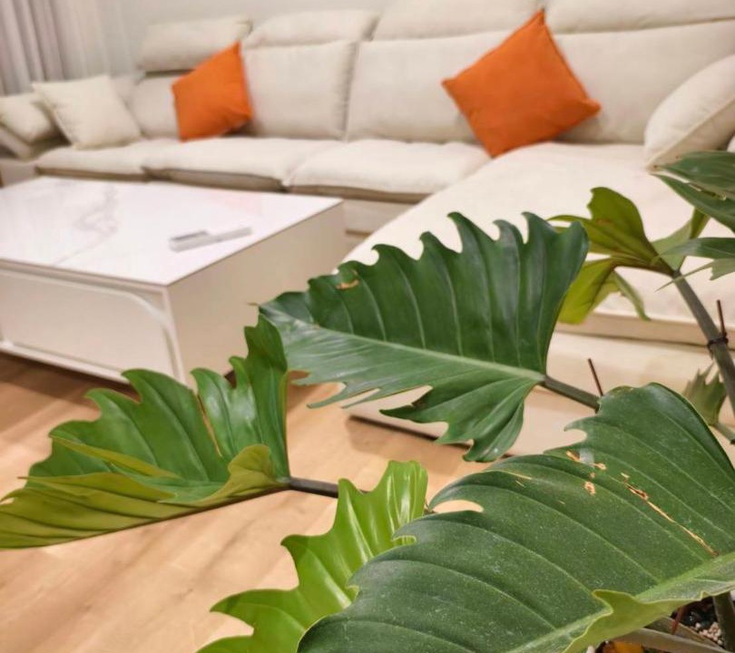 Photo of Livingroom in Hengchun