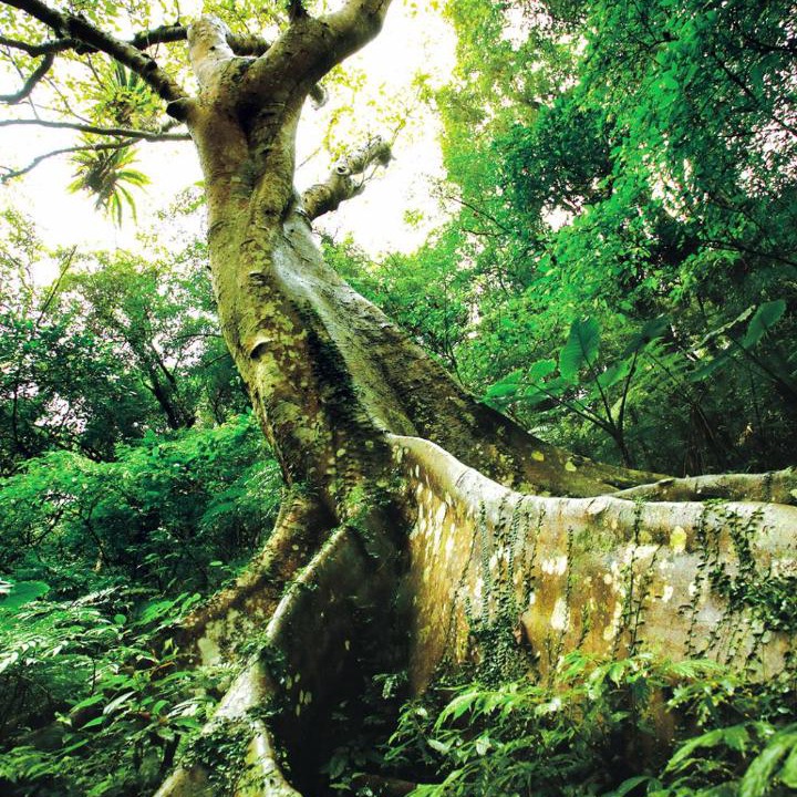 Photo of Others in Sanxia