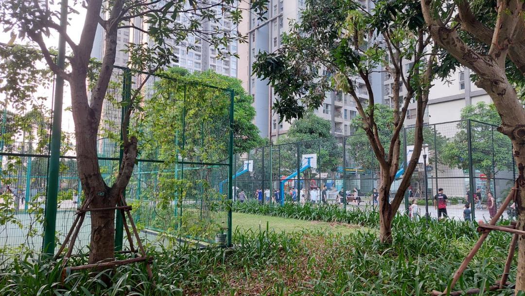 Photo of Others in Tu Liem