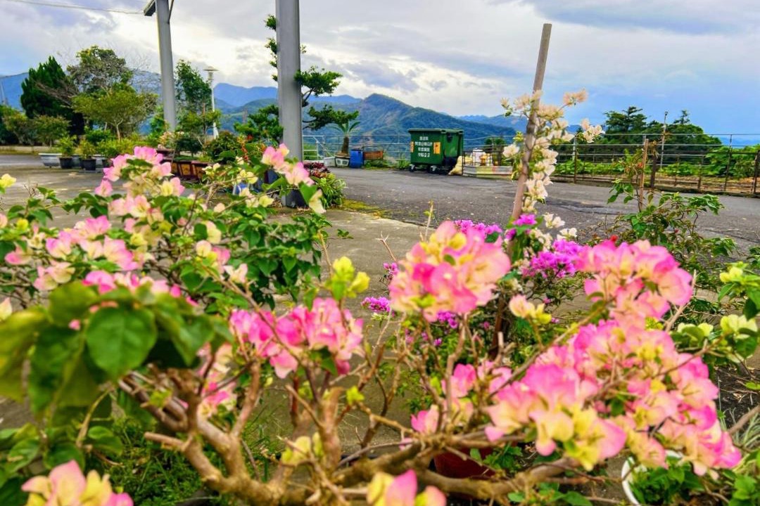 Photo of Outdoor in Alishan