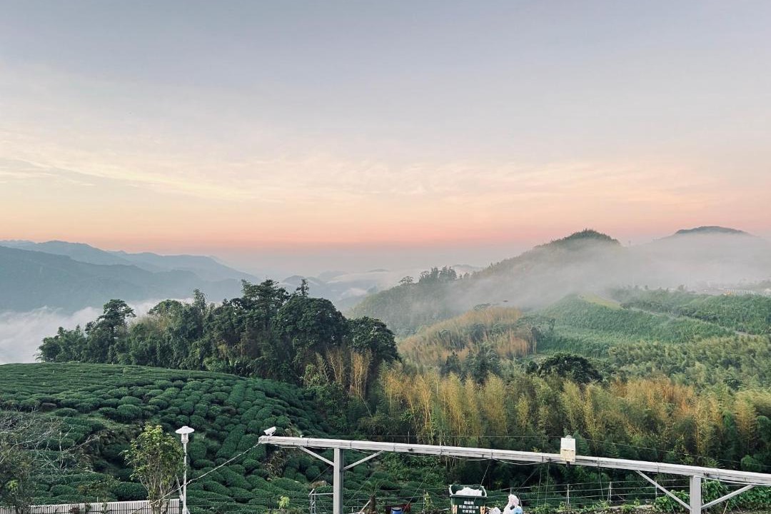 Photo of Others in Alishan