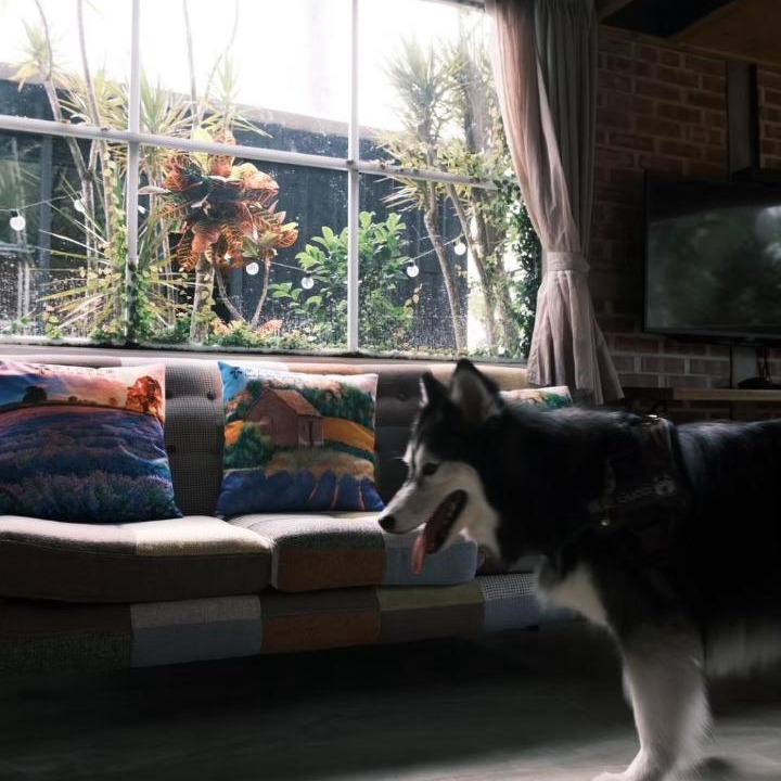 Photo of Livingroom in Daguang