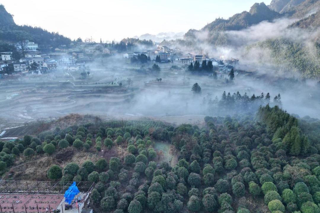 Photo of Others in Wulingyuan