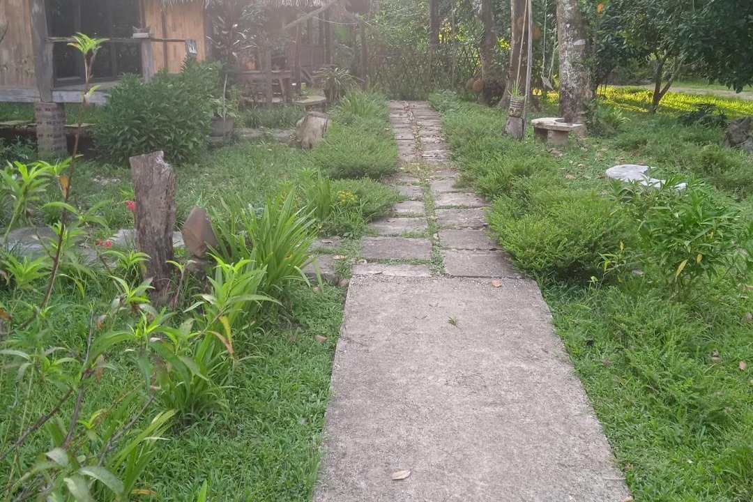 Photo of Others in Chiem Hoa