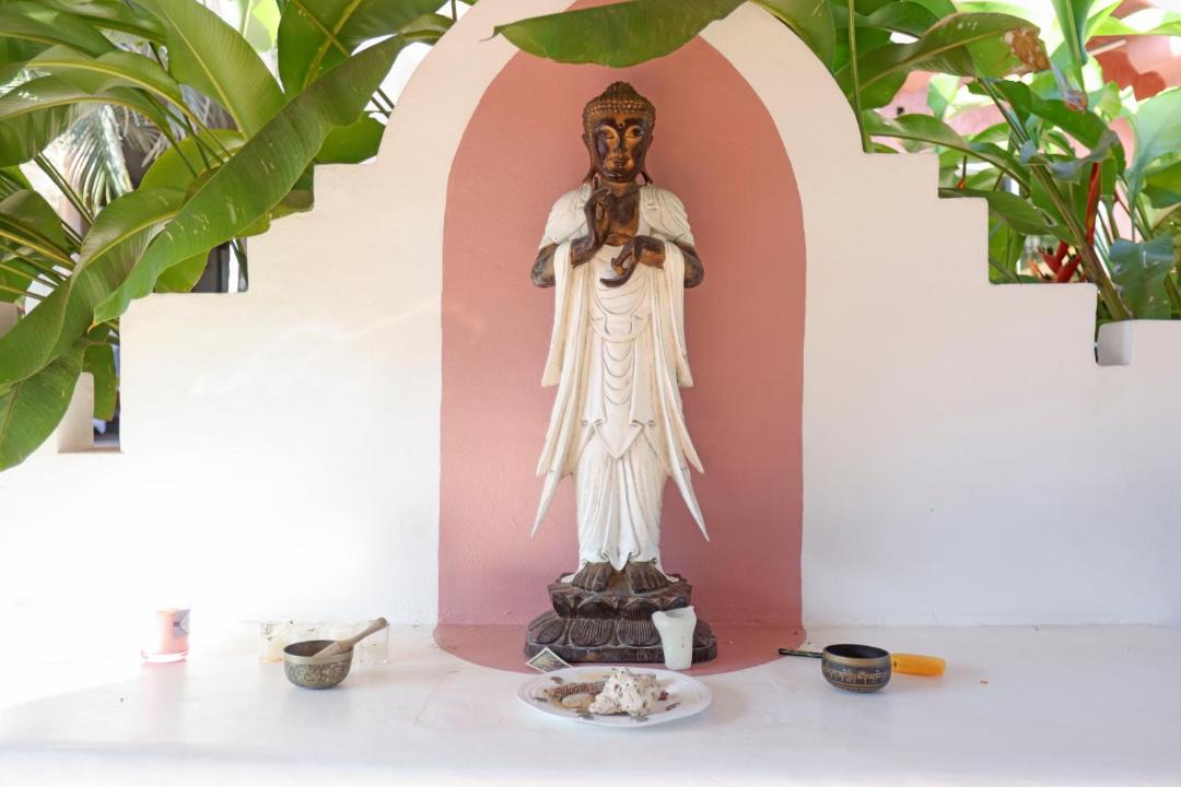 Photo of Others in Sayulita