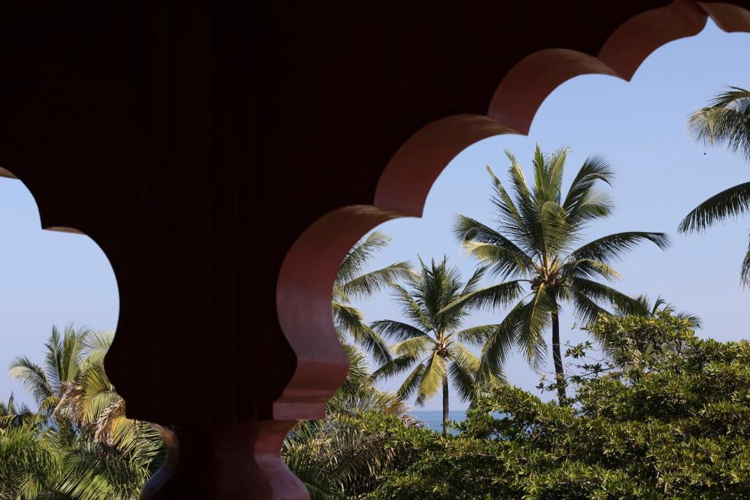 Photo of Others in Sayulita