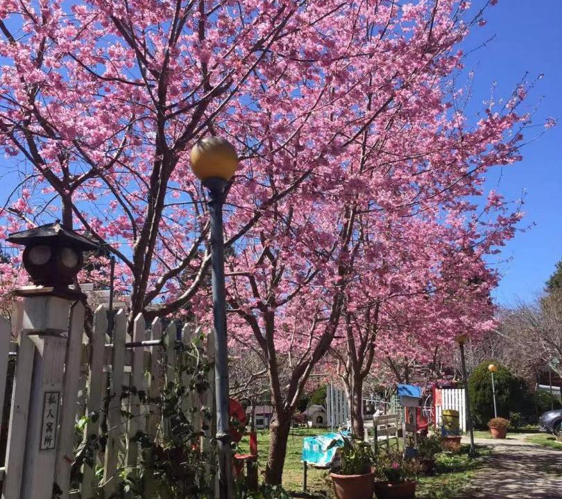 Photo of Outdoor in Fuxing District
