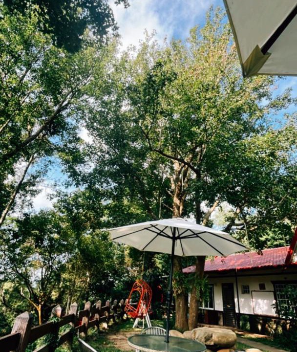 Photo of Others in Tongxiao