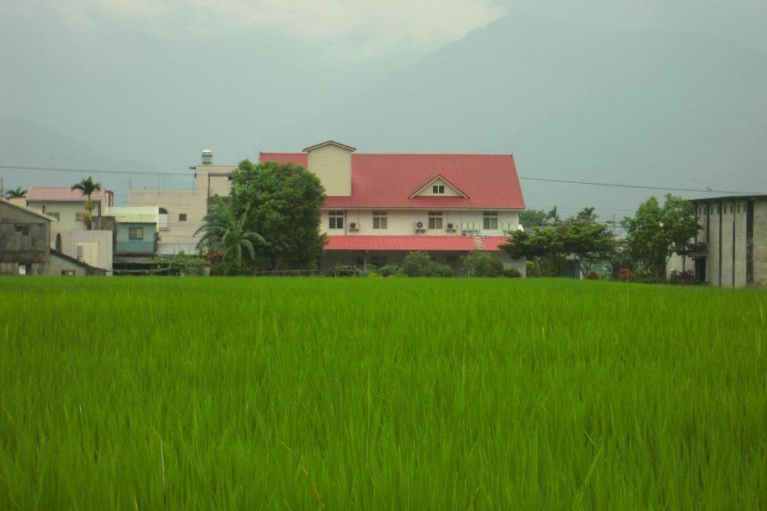 Photo of Others in Yuli
