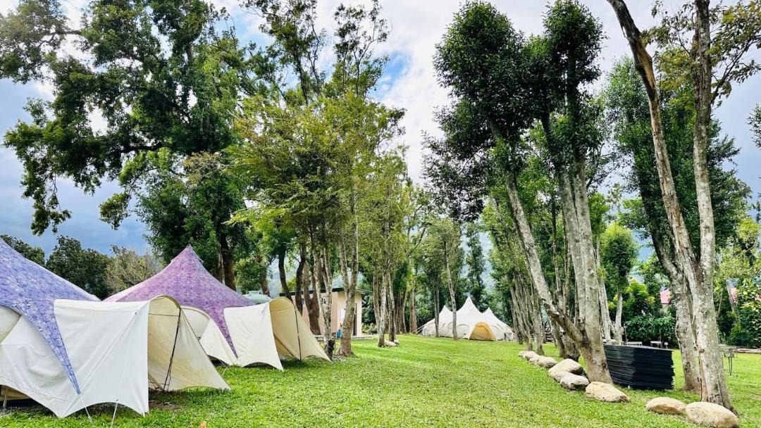 Photo of Others in Luye