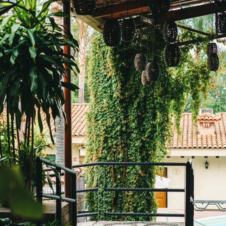 Photo of Others in Tlaquepaque