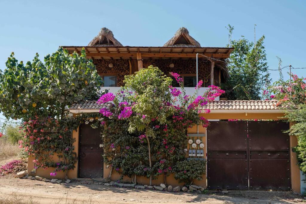 Photo of Others in Puerto Escondido