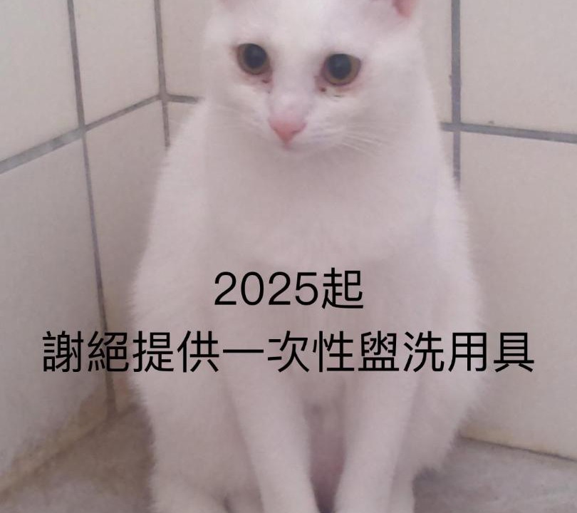 Photo of Others in Xincheng