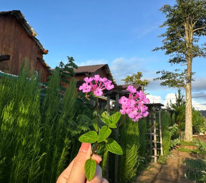 Photo of Outdoor in Kon Plong