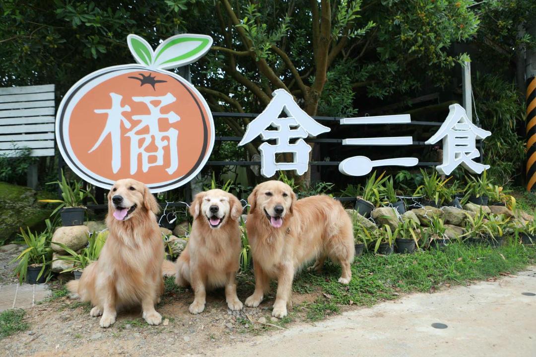 Photo of Others in Zhuolan