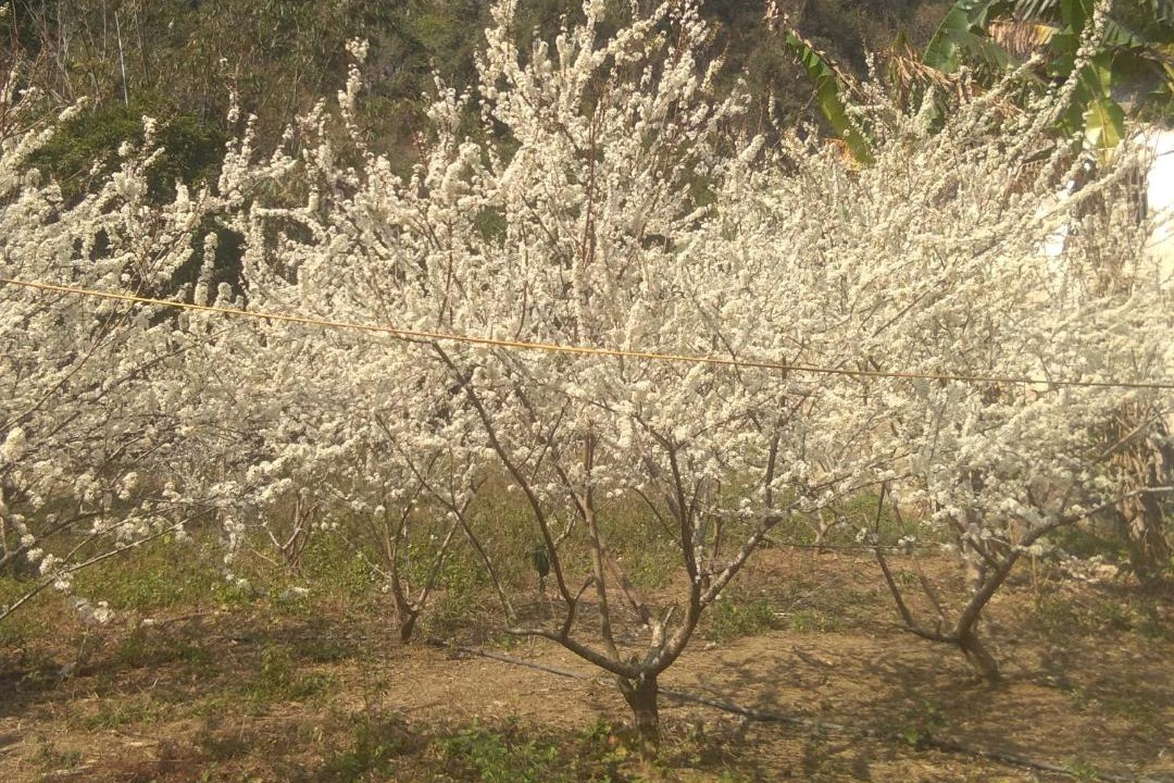 Photo of Outdoor in Trung Khanh