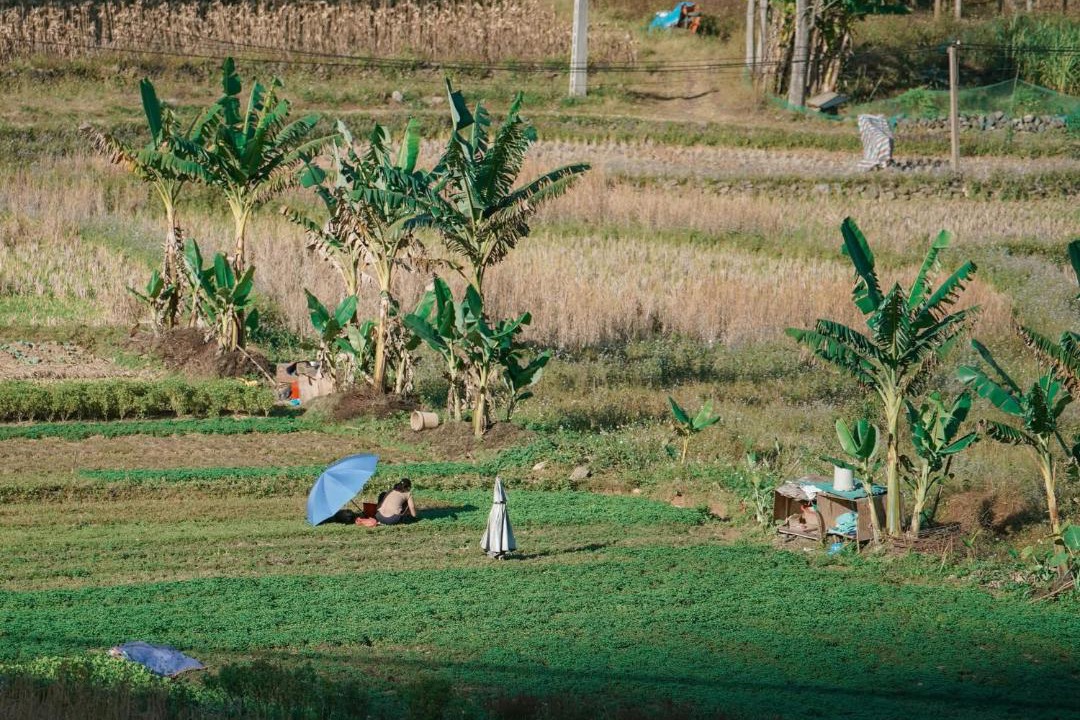 Photo of Others in Ha Quang