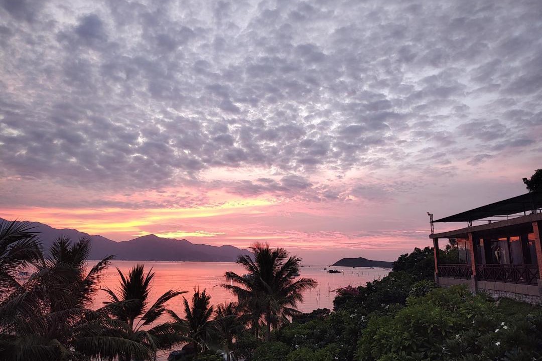 Photo of Others in Nha Trang