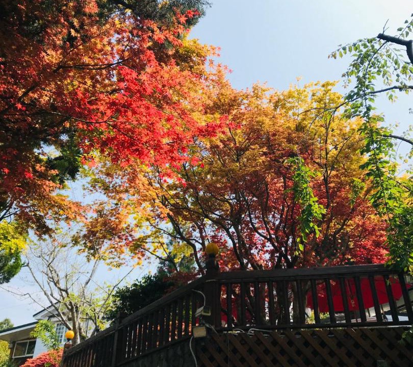 Photo of Others in Fuxing District