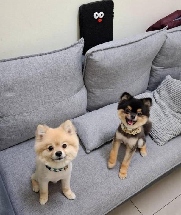 Photo of Livingroom in Hengchun Old Town
