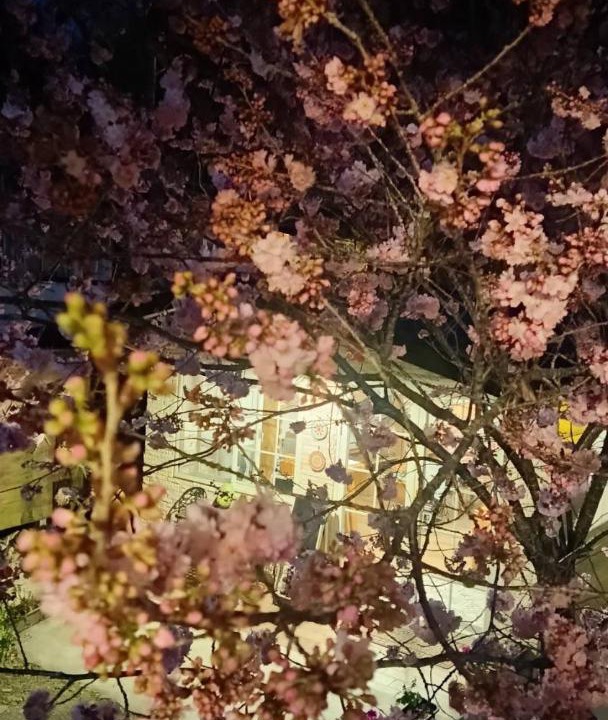 Photo of Others in Fuxing District