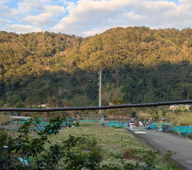 Photo of Others in Sanyi